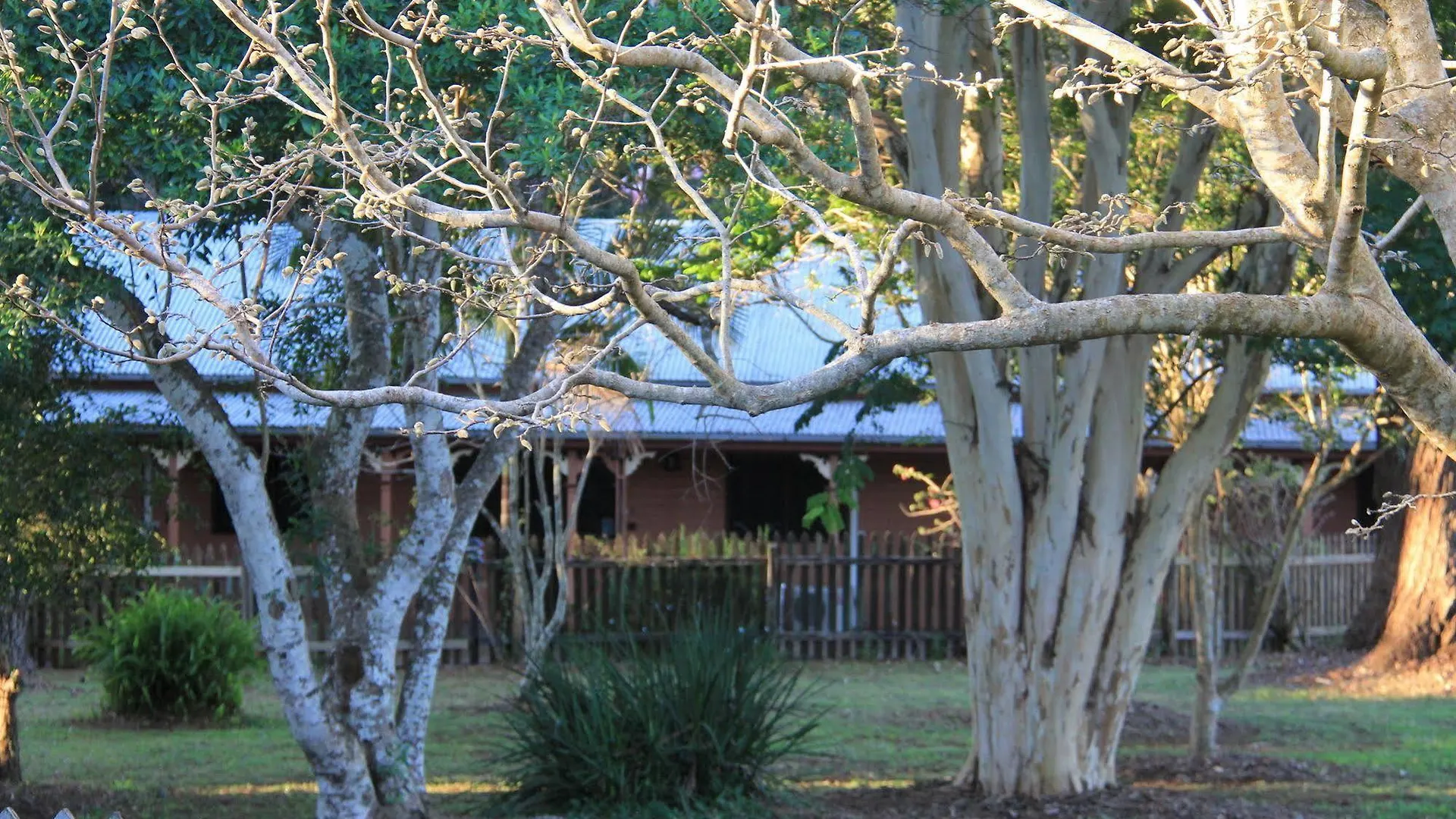 Maleny Hotel